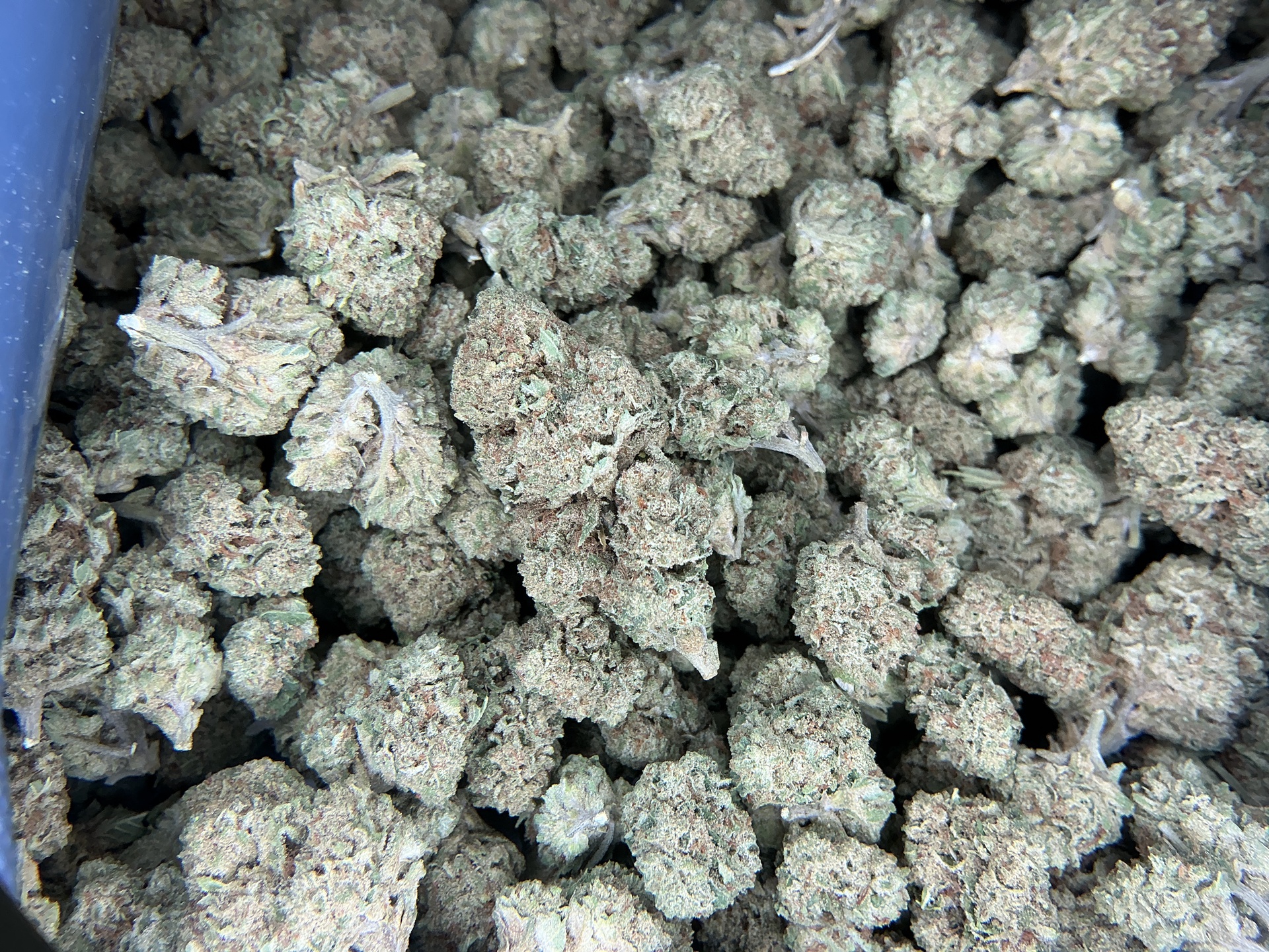 Mimosa THCa Flower (Indoor) / 1 Gram